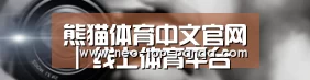 公司动态