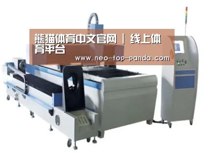 产品名称十三