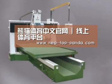 产品名称十