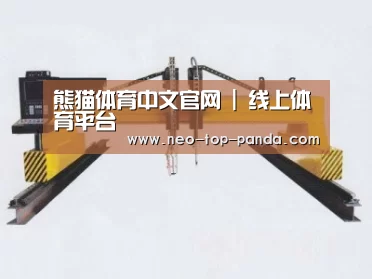 产品名称十九
