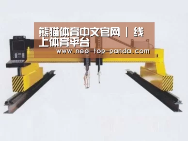 产品名称十七