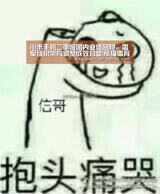 熊猫体育app
