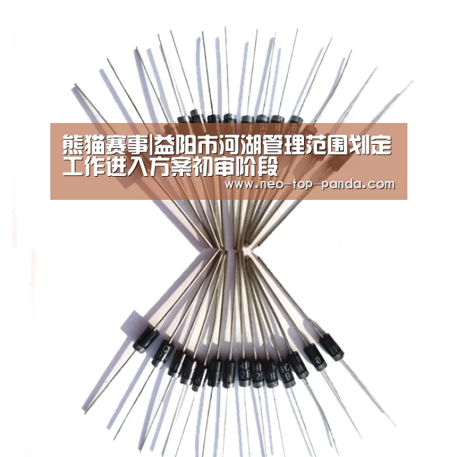 熊猫赛事|益阳市河湖管理范围划定工作进入方案初审阶段(图2) 熊猫赛事