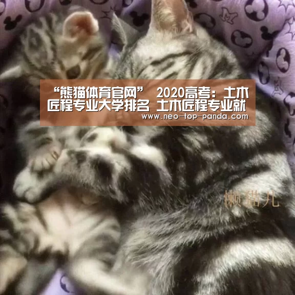 “熊猫体育官网”
2020高考:土木匠程专业大学排名 土木匠程专业就业去向(图1) 熊猫赛事